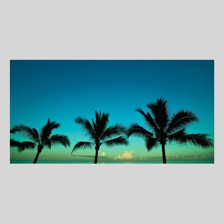 IGREBOW ˥塼ɥ˥ ɥơ̥ᥢ դΥ䥷ڡ[ 12] ܥ ƥꥢե ԥ㡼 ̿