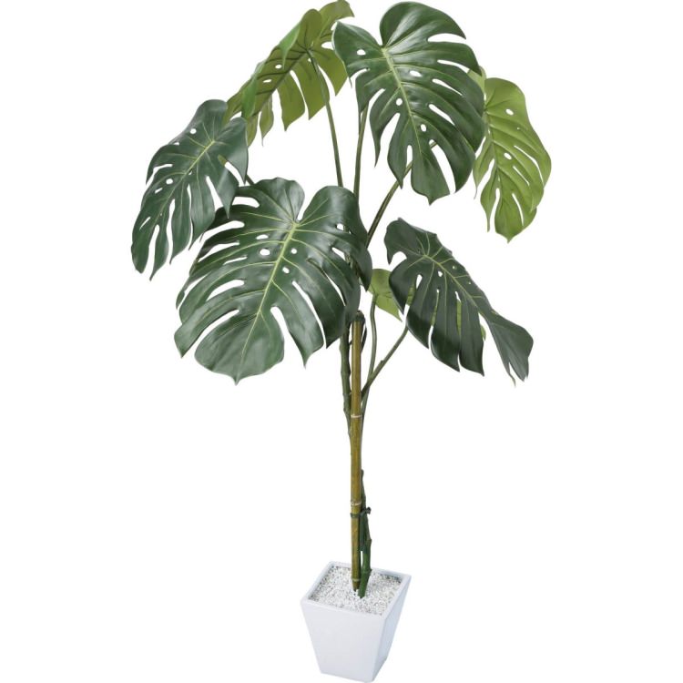 󥹥ƥݥå 125cmGLA-1442 ƥե륰꡼ ͹տʪ ȭդ꡼