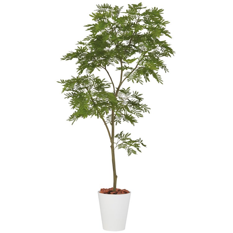 ���С��ե�å���1.5m��GLPT-204 �����ƥ��ե�����륰�꡼�� �͹����տ�ʪ ȭ�դ����꡼��