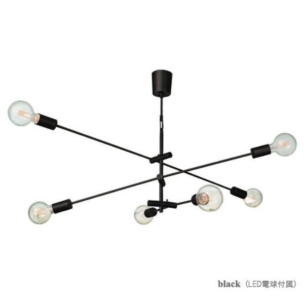 DI CLASSE(ǥå)LEDڥȥסLED Cardinal P/L BK ǥʥ ֥å