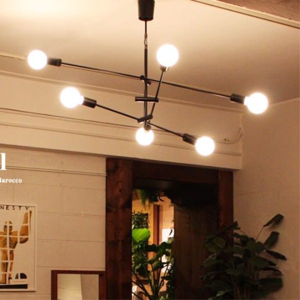 DI CLASSE(ǥå)LEDڥȥסLED Cardinal P/L BK ǥʥ ֥å