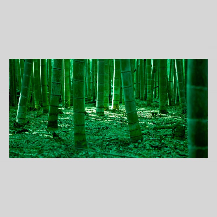 IGREBOW  ӡ[» 12] ܥ ƥꥢե ԥ㡼 ̿