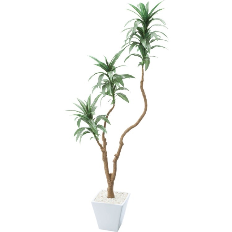 �ɥ饻�ʥ���ѥ����ݥå� 111cm��GLA-1471 �����ƥ��ե�����륰�꡼�� �͹����տ�ʪ ȭ�դ����꡼��