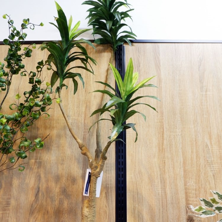 �ɥ饻�ʥ���ѥ����ݥå� 111cm��GLA-1471 �����ƥ��ե�����륰�꡼�� �͹����տ�ʪ ȭ�դ����꡼��