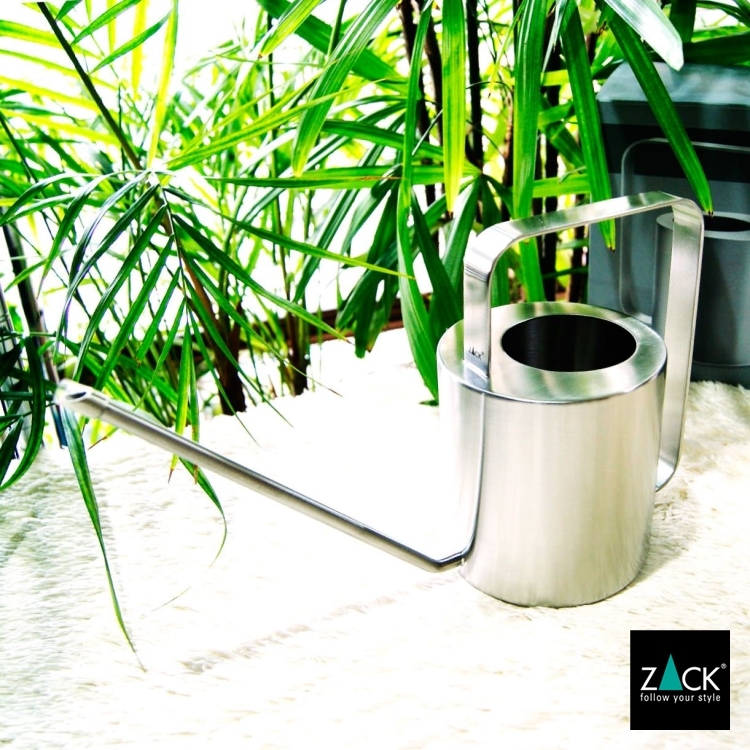 [����] ZACK 22184 CALA �ɥ���ZACK���������ǥ�����Υ���������󥰥���(���祦��)