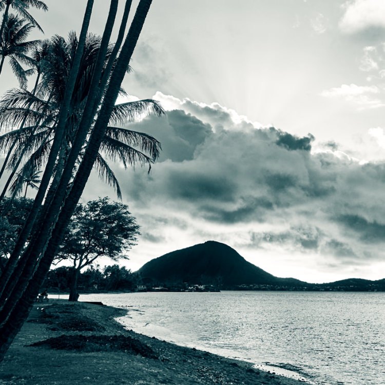 IGREBOW �ϥ磻 �������γ��ȥ䥷���ڡ�[�»� 1��2] ��������ܥ� ����ƥꥢ�ե��� �ԥ����㡼������ �̿�