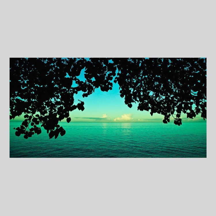 IGREBOW �˥塼����ɥ˥� �ڱ�����˾���Ĥ�����[����� 1��2] ��������ܥ� ����ƥꥢ�ե��� �ԥ����㡼������ �̿�