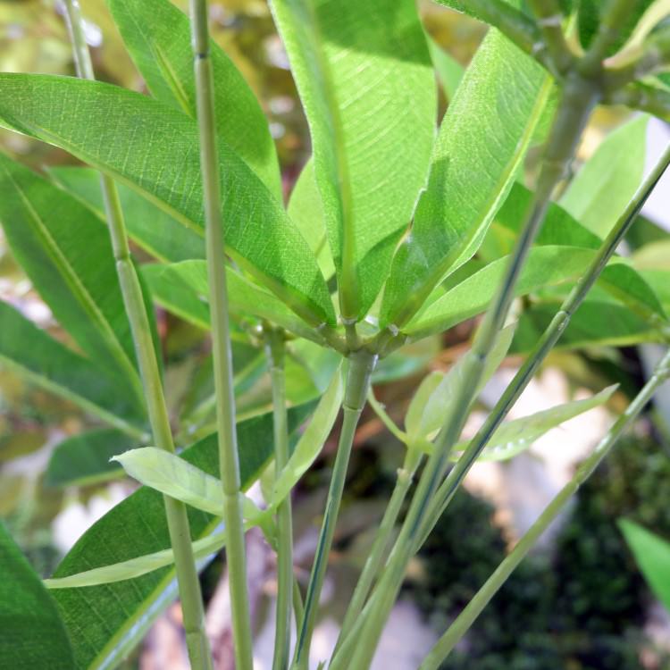 ѥݥå 120cmGLA-1477 ƥե륰꡼ ͹տʪ ꡼