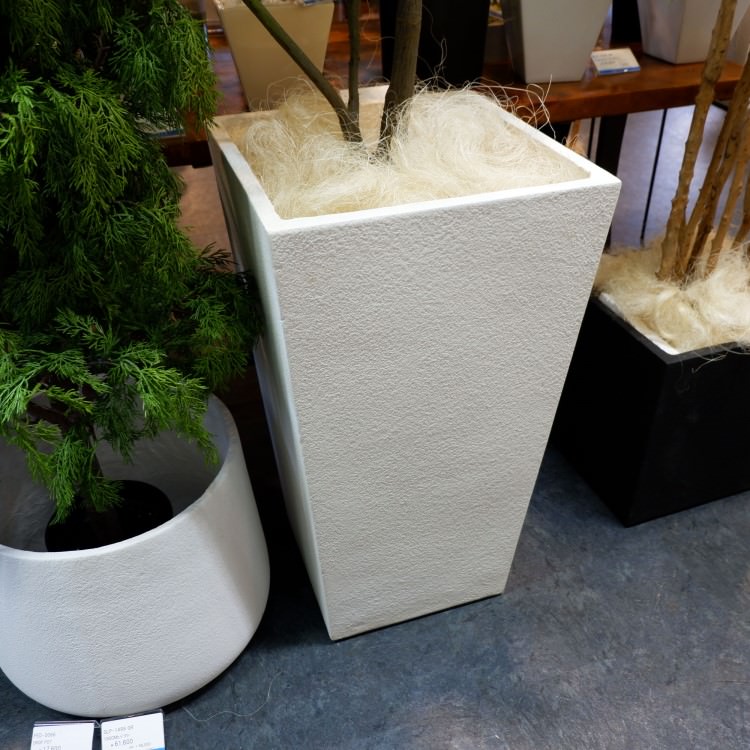 PILLAR POT L ԥ顼ݥåLòͥǥץ쥤ߥ塼 PED-0068 ƥꥢ