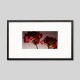 IGREBOW �֤��ȥ륳�����祦��[���å� 1��2] ��������ܥ� ����ƥꥢ�ե��� �ԥ����㡼������ �̿�