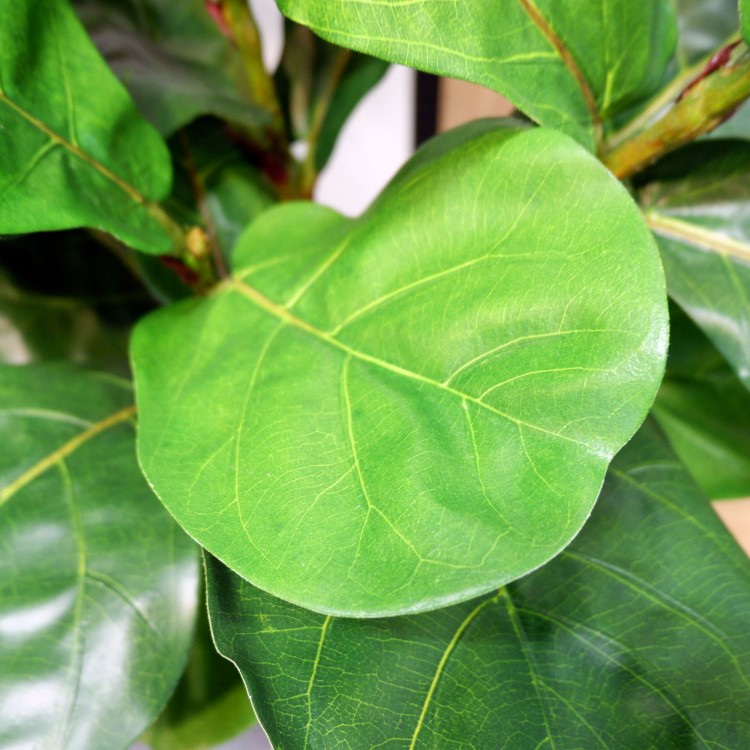 ������Хݥå� 120cm��GLA-1501 �����ƥ��ե�����륰�꡼�� �͹����տ�ʪ ȭ�դ����꡼��