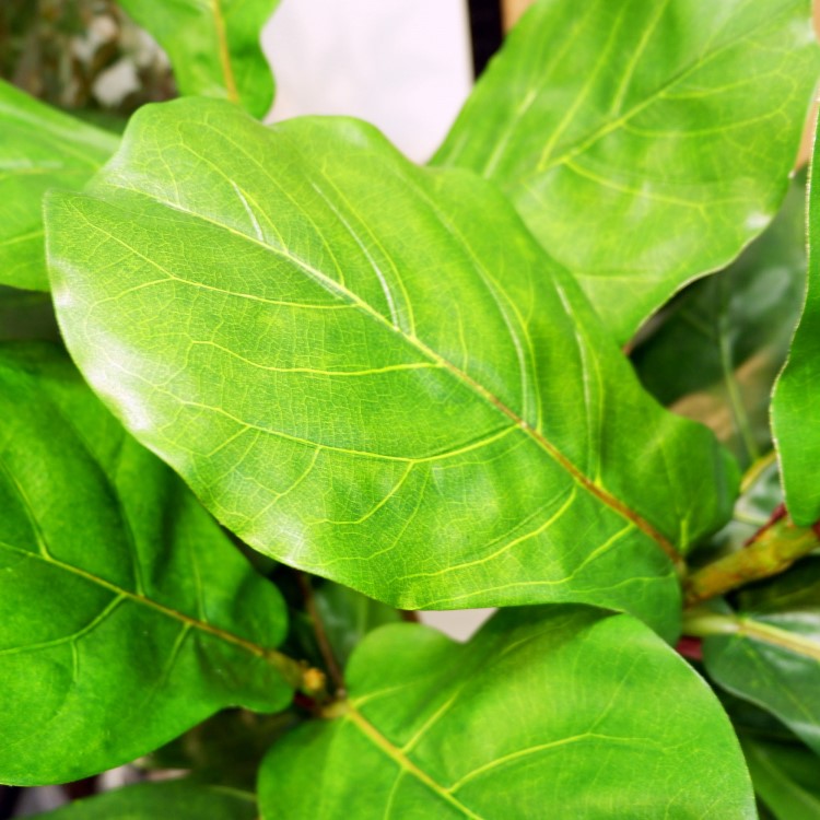 ������Хݥå� 120cm��GLA-1501 �����ƥ��ե�����륰�꡼�� �͹����տ�ʪ ȭ�դ����꡼��