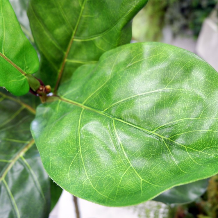 ������Хݥå� 120cm��GLA-1501 �����ƥ��ե�����륰�꡼�� �͹����տ�ʪ ȭ�դ����꡼��