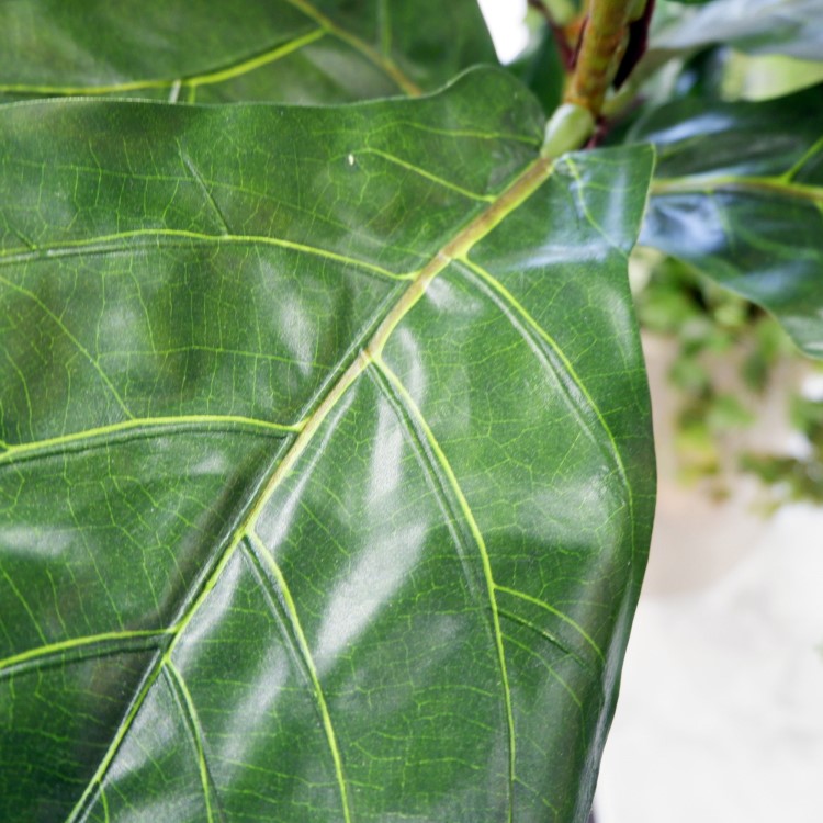 ������Хݥå� 120cm��GLA-1501 �����ƥ��ե�����륰�꡼�� �͹����տ�ʪ ȭ�դ����꡼��