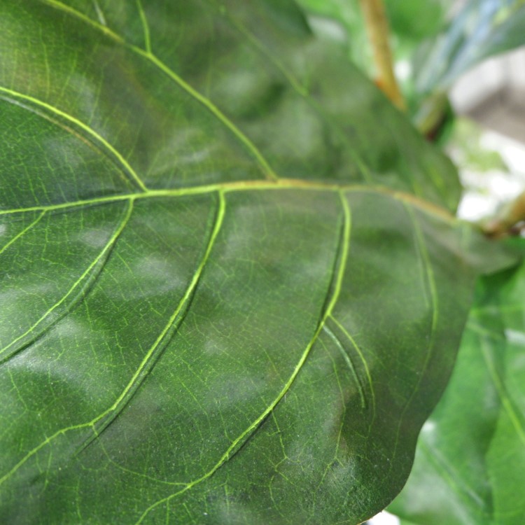 ������Хݥå� 120cm��GLA-1501 �����ƥ��ե�����륰�꡼�� �͹����տ�ʪ ȭ�դ����꡼��