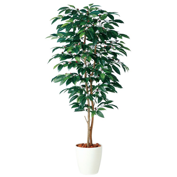 �����ҡ��ǥ奢�� W80��H150cm��TK98991 �����ƥ��ե�����륰�꡼�� �͹����տ�ʪ �͹����� ȭ�դ����꡼��