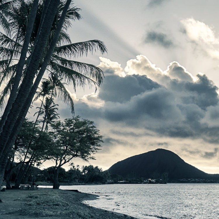 IGREBOW ϥ磻 γ 磻ۥ̨ȥ졼[ 12] ܥ ƥꥢե ԥ㡼 ̿