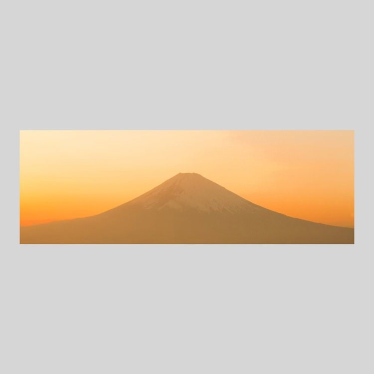 IGREBOW īޤٻλ[ 13] ܥ ƥꥢե ԥ㡼 ̿