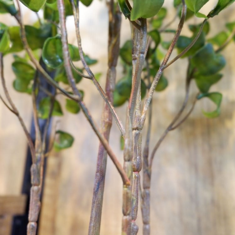 ٥󥸥ߥХåݥå 100cmGLA-1505 ƥե륰꡼ ͹տʪ ȭդ꡼