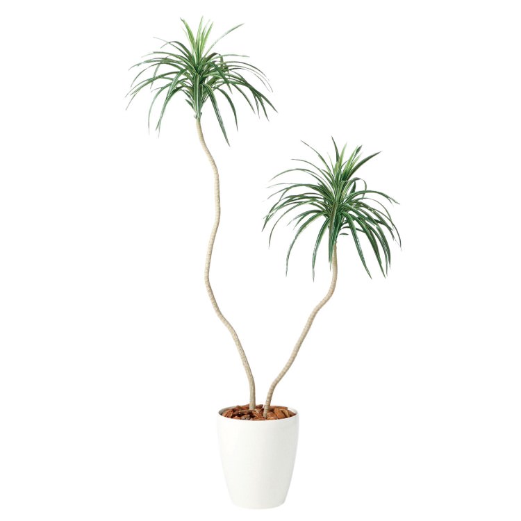 󥷥ʥ٥ W70H130cmTK99080 ƥե륰꡼ ͹տʪ ͹ ȭդ꡼