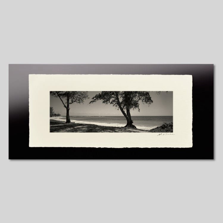 IGREBOW �ϥ磻 �������� �ӡ������ڱ���[�»� 1��3] ��������ܥ� ����ƥꥢ�ե��� �ԥ����㡼������ �̿�