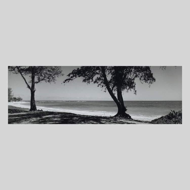 IGREBOW �ϥ磻 �������� �ӡ������ڱ���[�»� 1��3] ��������ܥ� ����ƥꥢ�ե��� �ԥ����㡼������ �̿�