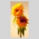 IGREBOW �Ҥޤ��β֡�[�»� 1��2] ��������ܥ� ����ƥꥢ�ե��� �ԥ����㡼������ �̿�