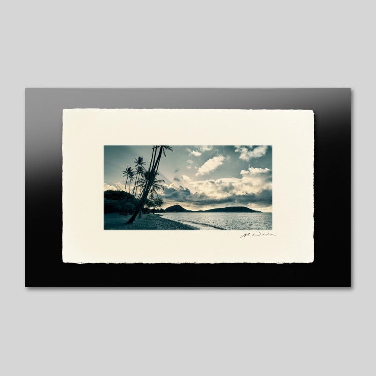 IGREBOW �ϥ磻 �������γ� ���磻�ۥ�̨�ȥ������졼������[�»� 1��2] ��������ܥ� ����ƥꥢ�ե��� �ԥ����㡼������ �̿�