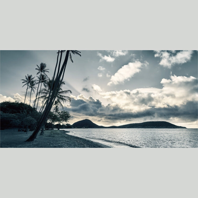 IGREBOW �ϥ磻 �������γ� ���磻�ۥ�̨�ȥ������졼������[�»� 1��2] ��������ܥ� ����ƥꥢ�ե��� �ԥ����㡼������ �̿�