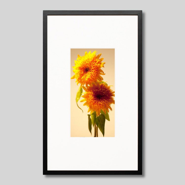 IGREBOW Ҥޤβ֡[å 12] ܥ ƥꥢե ԥ㡼 ̿