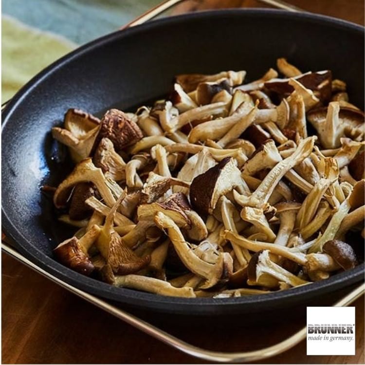 BRUNNER GUSSTO IDP005014 �����ȥѥ� 24cm����ʪ�� �֥�ʡ� ������ MADE IN GERMANY  ������Ǯ���б���