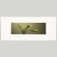 IGREBOW ���顼�β֡�[����� 1��3] ��������ܥ� ����ƥꥢ�ե��� �ԥ����㡼������ �̿�