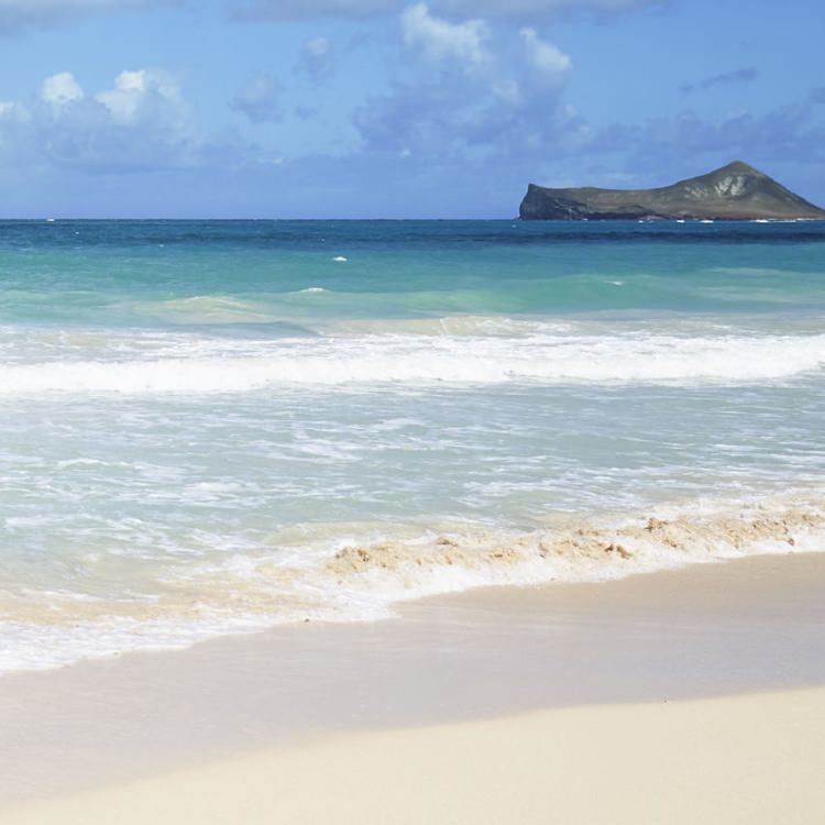 IGREBOW �ϥ磻 �磻�ޥʥ��٥��ӡ��� ���ͤ��Ĥ����ȳ���[����� 1��2] ��������ܥ� ����ƥꥢ�ե��� �ԥ����㡼������ �̿�