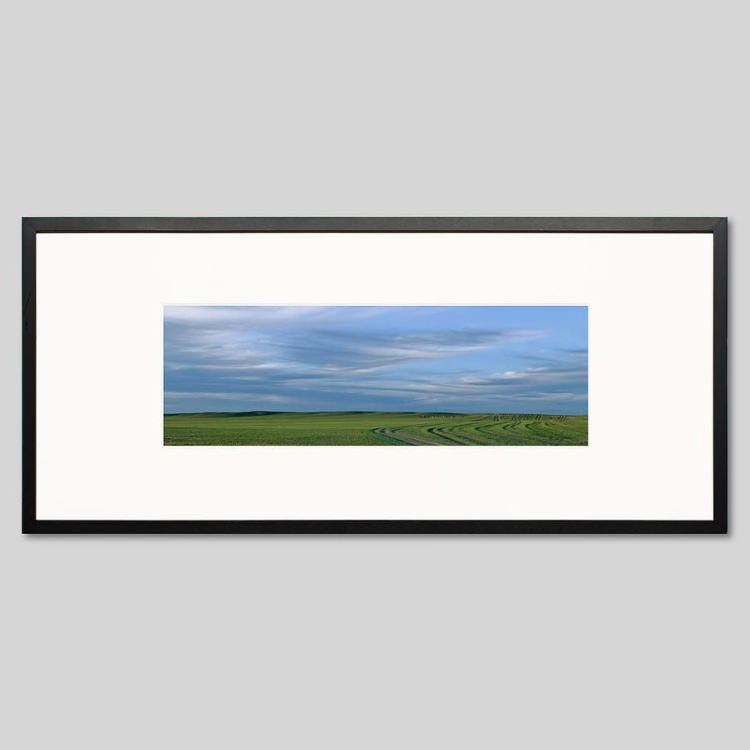 IGREBOW 󥴥 𸶤Τ[å 13] ܥ ƥꥢե ԥ㡼 ̿