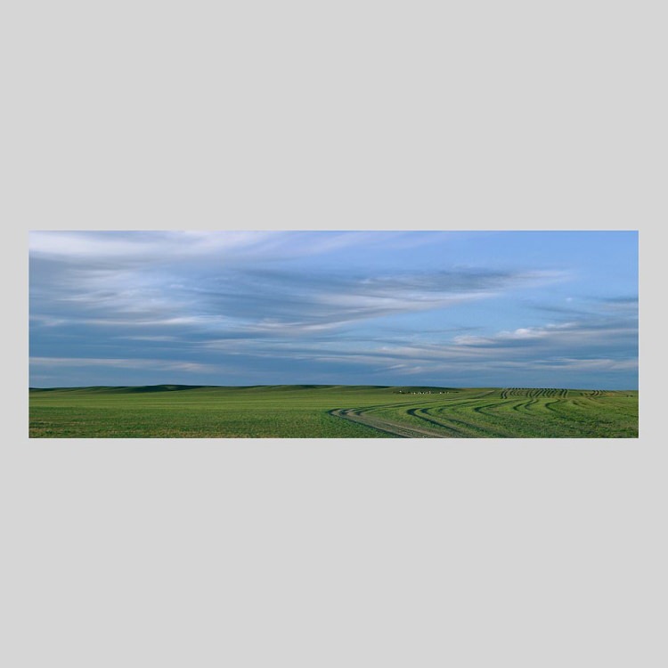 IGREBOW 󥴥 𸶤Τ[å 13] ܥ ƥꥢե ԥ㡼 ̿