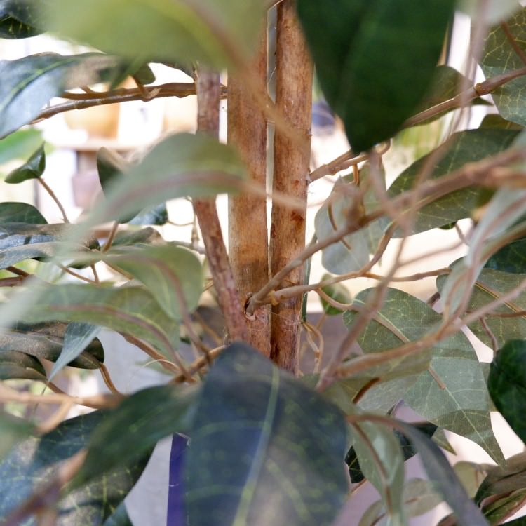 ٥󥸥ߥȥץХ 180cmGLP-1190 ƥե륰꡼ ͹տʪ ꡼