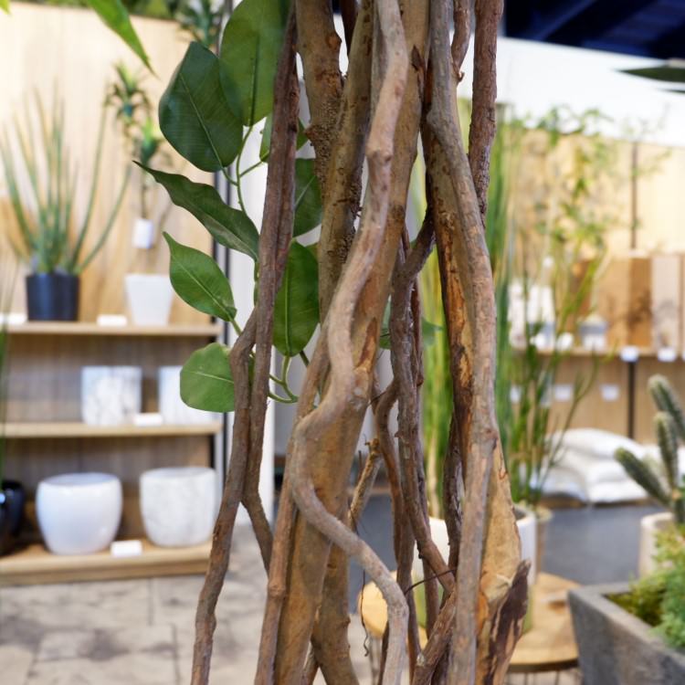 ٥󥸥ߥȥץХ 180cmGLP-1190 ƥե륰꡼ ͹տʪ ꡼