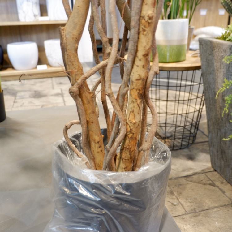 ٥󥸥ߥȥץХ 180cmGLP-1190 ƥե륰꡼ ͹տʪ ꡼