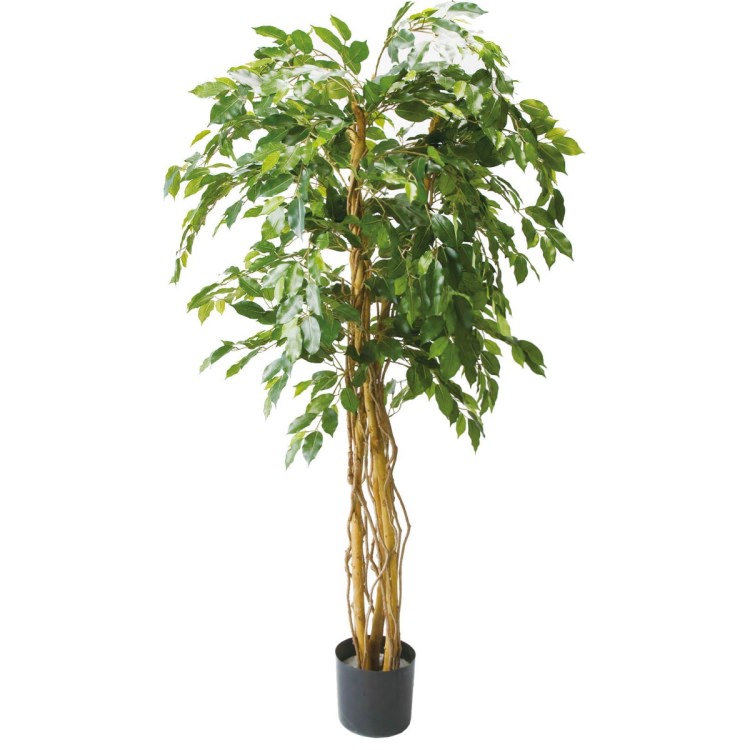 ٥󥸥ߥȥץХ 180cmGLP-1190 ƥե륰꡼ ͹տʪ ꡼