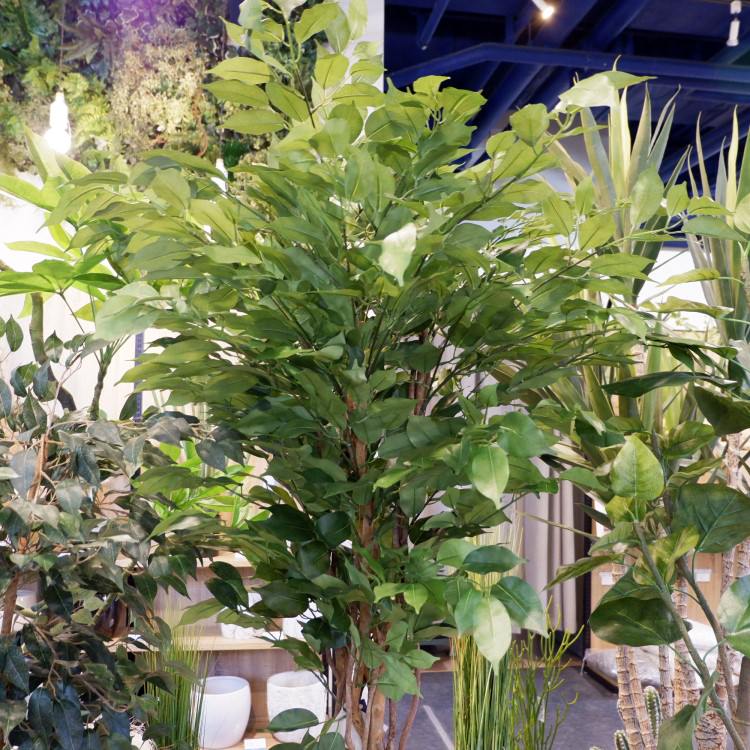 ٥󥸥ߥȥץХ 180cmGLP-1190 ƥե륰꡼ ͹տʪ ꡼