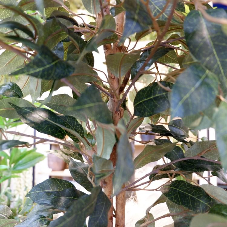 ٥󥸥ߥȥץХ 180cmGLP-1190 ƥե륰꡼ ͹տʪ ꡼