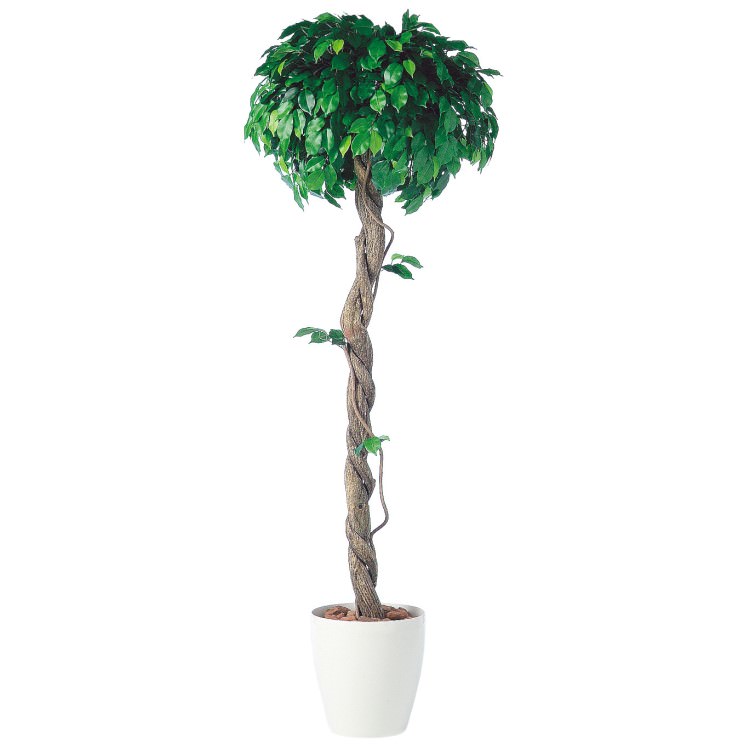 �ե��å����٥󥸥�ߥʥ��󥰥� W70��H200cm��TK91238 �����ƥ��ե�����륰�꡼�� �͹����տ�ʪ �͹����� ȭ�դ����꡼��