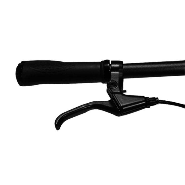 [��ư�������ȼ�ž��] RICHBIT CITY ASSIST(������ԥ�)���ޤ���߲� �����Υ�������Բ� ����̵��