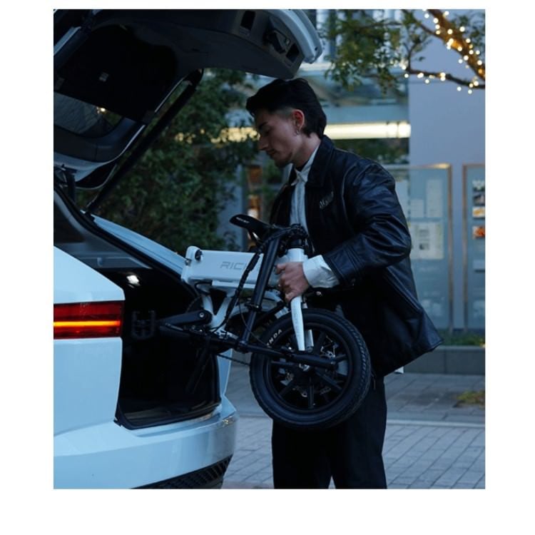 [��ư�������ȼ�ž��] RICHBIT CITY ASSIST(������ԥ�)���ޤ���߲� �����Υ�������Բ� ����̵��