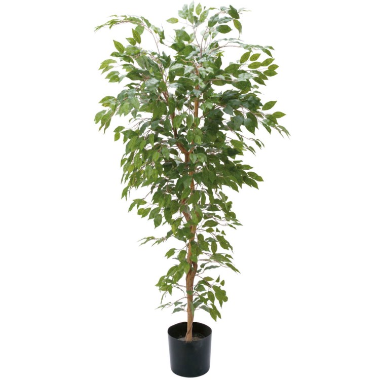 ٥󥸥ߥե 180cmGLP-1290 ƥե륰꡼ ͹տʪ ꡼