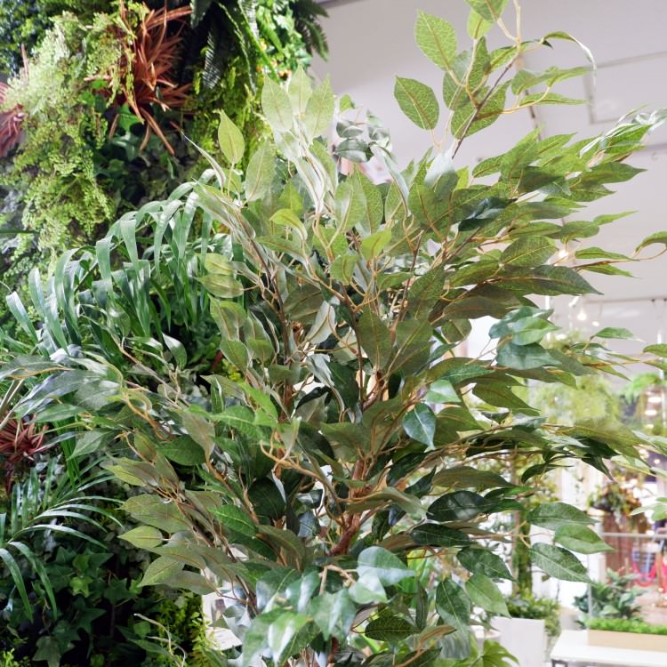 ٥󥸥ߥե 180cmGLP-1290 ƥե륰꡼ ͹տʪ ꡼