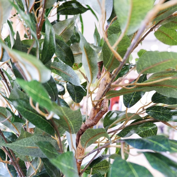 ٥󥸥ߥե 180cmGLP-1290 ƥե륰꡼ ͹տʪ ꡼