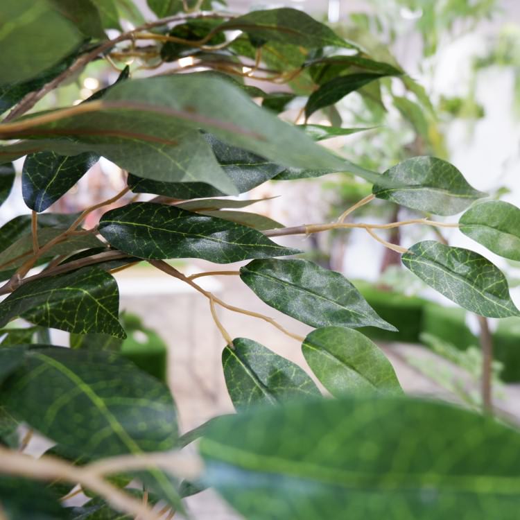 ٥󥸥ߥե 180cmGLP-1290 ƥե륰꡼ ͹տʪ ꡼