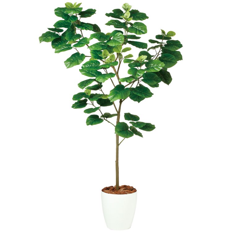 ٥顼 FST W110H180cmTK99100 ƥե륰꡼ ͹տʪ ͹ ȭդ꡼