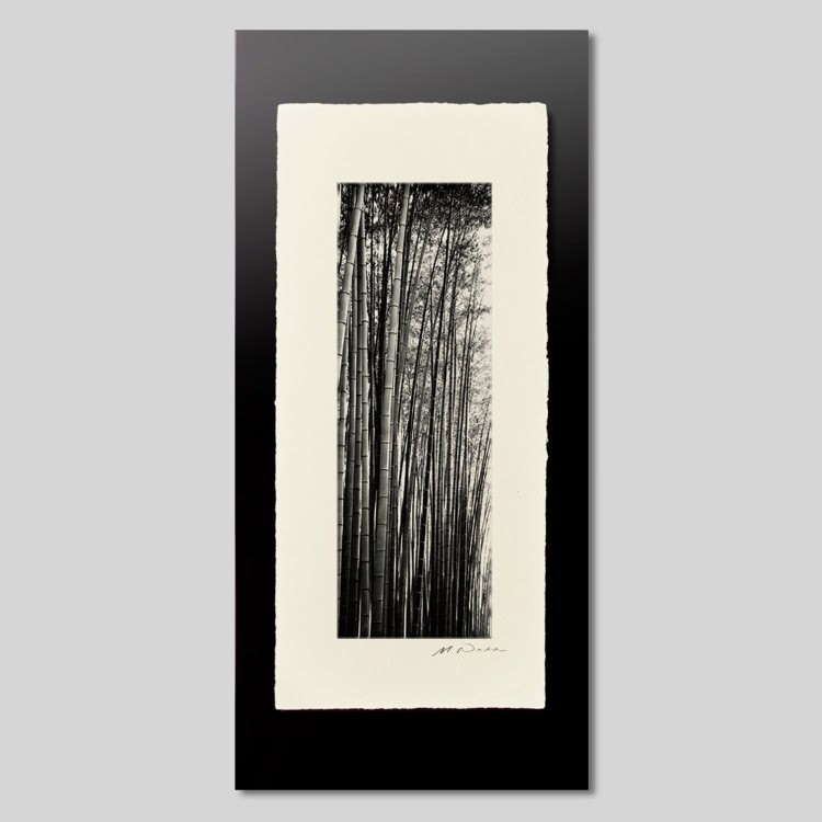 IGREBOW ���� ����������ӡ�[�»� 1��3] ��������ܥ� ����ƥꥢ�ե��� �ԥ����㡼������ �̿�